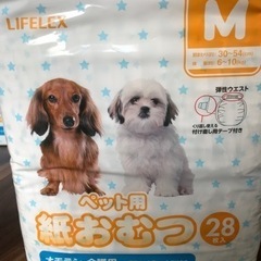 【再値下げ】　🐾ペット用紙オムツ　M サイズの画像