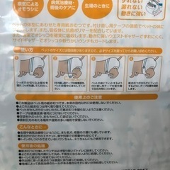 【再値下げ】　🐾ペット用紙オムツ　M サイズの画像