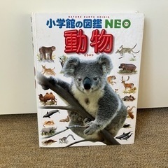 動物図鑑