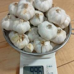 ニンニク1kg　和歌山　貴志川産　有機無農薬野菜