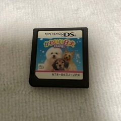 かわいい仔犬DS3 ソフトのみ
