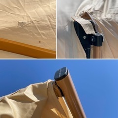 【最終商談中】カインズ2.5×2.5m タープ　※8/11までにお取引きできる方の画像