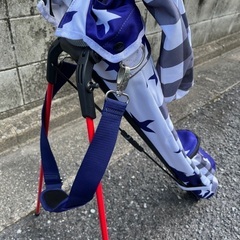 ゴルフ バッグ スタンドバッグ V TWELVE V12の画像