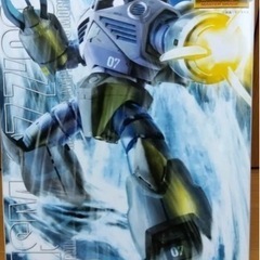 ガンプラ　MG 1/100 量産型ズゴック