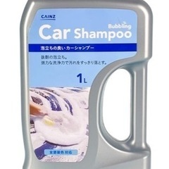 カーシャンプー