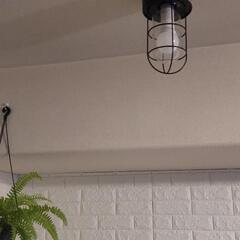 ペンダントライト【決定】