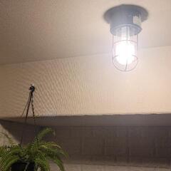 ペンダントライト【決定】の画像