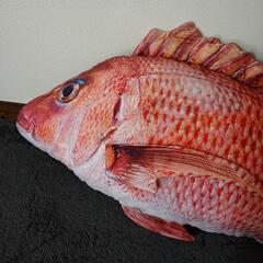 たい ぬいぐるみの画像