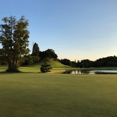 一緒にラウンドしましょう⛳️