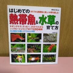 値下げ　　初めての水草水槽　熱帯魚