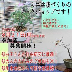 こどもと大人の自由研究！ミニ盆栽づくりワークショップ