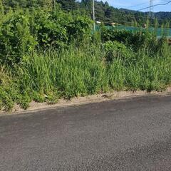 草刈りの御依頼