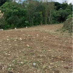 草刈り、伐採いたしますの画像
