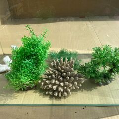 水槽（大）の画像