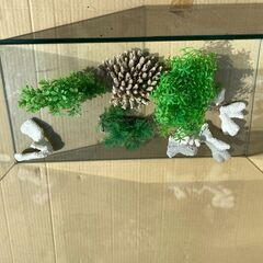 水槽（大）の画像