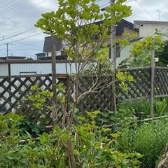 庭石、レンガ、植木、草花