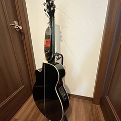 エレキギター→エレアコですの画像