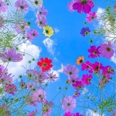 ママ友を超えて友達になれる方🌸