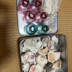 貝殻　ビン