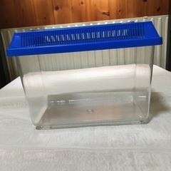 よくある虫かご