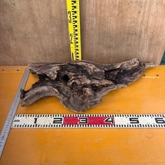 流木(大)🪵穴あき　2500円