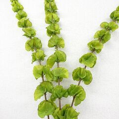 (O-2505FB2)◆Benny's◆フェイクグリーン&セラミックベース◆W5cm×D17cm×H58cm◆ホワイト◆セラミック◆の画像