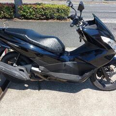 PCX 125cc    JF56の画像