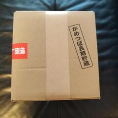 月の中　の　亀