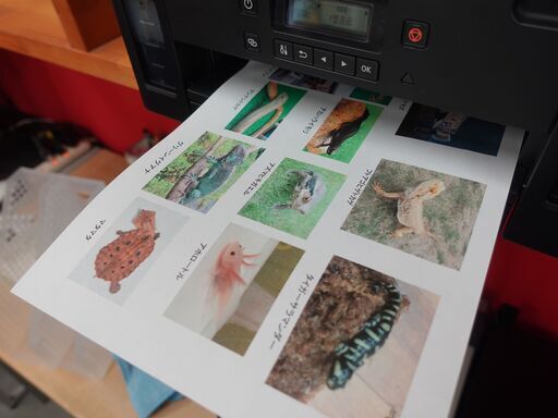 canon キャノンプリンタ G5030