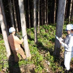 【事務職】未経験OK！/賞与2回/年間休日120/管理職候補/残業ほぼ無しの画像