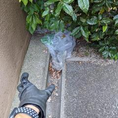 ハイツ、アパートなど共用部巡回清掃の画像