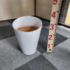 【受付終了】蘭用鉢　鉢