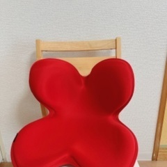 Style 骨盤メイクシートの画像
