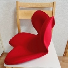 Style 骨盤メイクシートの画像