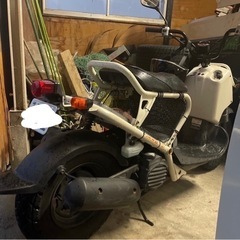 ズーマー50 ホンダの画像