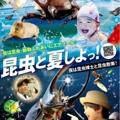 沖縄 旅行 プール 優待 チケット 夏休み 東南植物楽園 美らヤシパーク 観光の画像