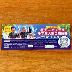 沖縄 旅行 プール 優待 チケット 夏休み 東南植物楽園 美らヤシパーク 観光の画像