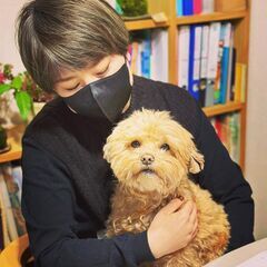 初心者が楽しめるスペイン語教室（スペイン人講師）の画像