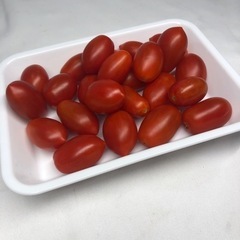 高糖度ミニフルーツトマト(糖度12度くらい、100g100円から)