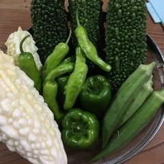 野菜　無農薬、無科学肥料