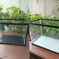 水槽２種　砂・濾過器・底面フィルターセットの画像