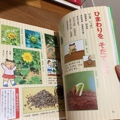 4才の絵本の画像
