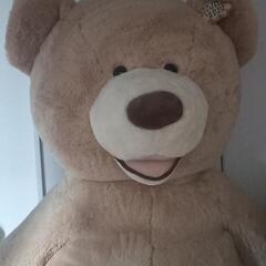 コストコのでっかいクマさんぬいぐるみ