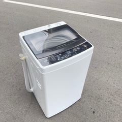 アメリカのカンナ 大