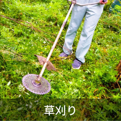 すぐ働ける！【8800円～】 屋外除草【千葉県大網白里市細草】単...