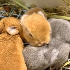 予約の受付を終了しました