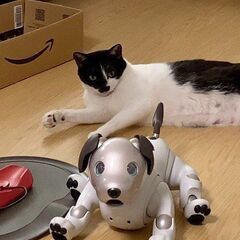 aibo 本体 ERS-1000 正規購入品 初期化済 