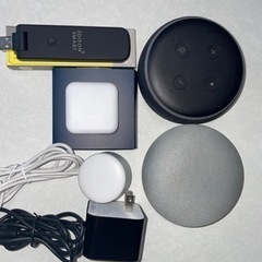Natute remo、Edison,echo dot、goog...