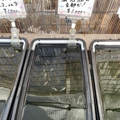 【凪メダカ】鱗光紅白　10匹以上