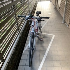 GIANT 自転車の画像
